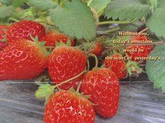 -祥源·阜阳生态乐园