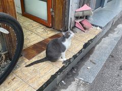 -文运街老粉店(文运街店)