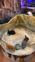 -奇幻萌宠部落(映月湖环宇城店)