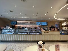 -哈根达斯(深圳海岸城店)