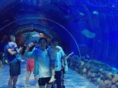 -华夏文旅海洋公园