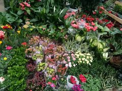 -青岛东方影都融创水世界