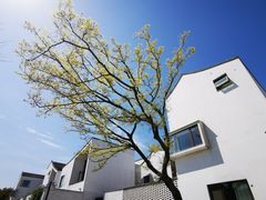 -东梓关景区村庄