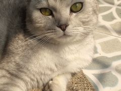 -华夏太古影城(深圳金銮时代店)