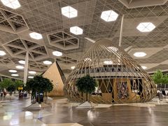 -盖达尔·阿利耶夫国际机场