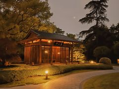 -棕榈岛海鲜自助餐厅(虹桥迎宾馆店)