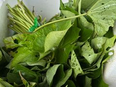 -东天目山风景区