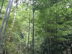 -雁荡山三折瀑景区