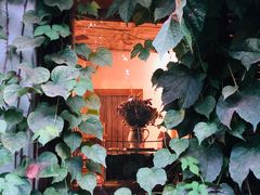 -斯多格书乡(北京大学畅春园店)