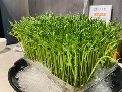 活体豆苗-三不牛腩(宾虹路店)