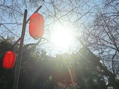 -杭州黄龙洞