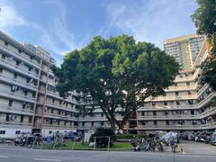 -四川农业大学(雅安校区)