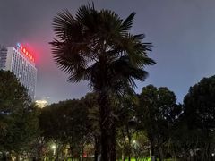-天鹅湖体育公园