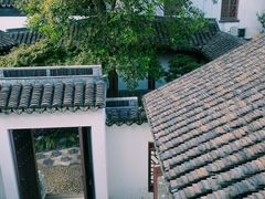 -檀园