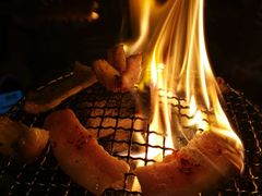 -大阪烧肉BAKA一代(十亩地店)