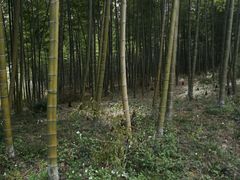 -陶祖圣境风景区