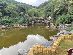 -北京西山国家森林公园