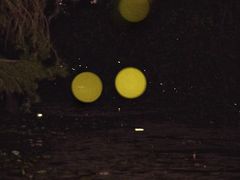 -池杉湖湿地公园