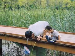 -东郊湿地公园