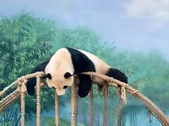 -杭州动物园