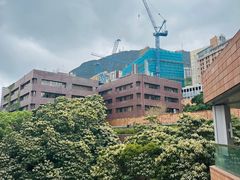 -香港大学