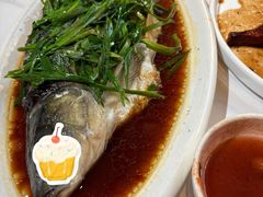 -觅唐MITONG(鸟巢店)