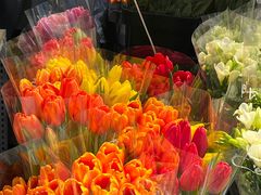 -循礼门鲜花花市(武汉循礼门店)