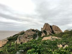 -洋山深水港