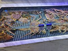 -开海·红岛海鲜虾水饺(石老人店)