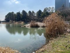 -美兰湖景区