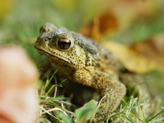 -浙江万里学院(钱湖校区)