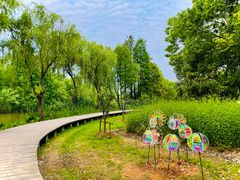 -白塔湖国家湿地公园