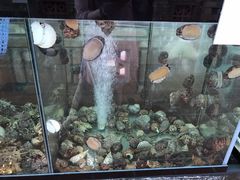 -越海渔村