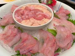 -海中洲渔社