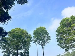 -火炉山森林公园