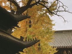 -护国法轮寺