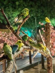 -酷嗒动物文化乐园(cutezoo西溪乐天城店)