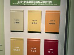 -中国茶叶博物馆(双峰馆区)
