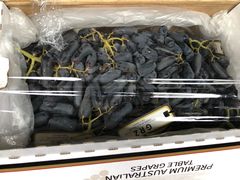 -东方鼎信农副产品交易中心