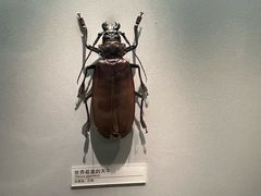 -天津自然博物馆