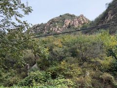 -大岭沟猕猴桃谷风景区