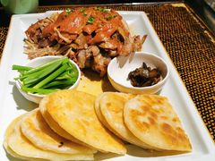 北平酱肘子-北平盛世·新京菜·北京烤鸭(劲松·双井店)