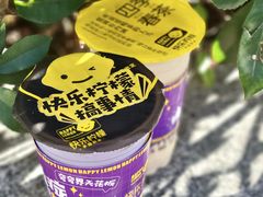 -快乐柠檬happylemon(日月光店)