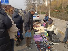 -中环花鸟鱼虫市场