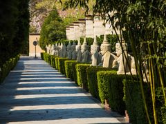 -春晖园度假酒店温泉