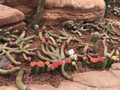 -南通洲际绿博园