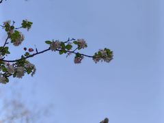 -郑州中国绿化博览园