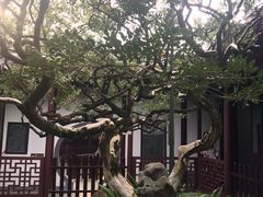 -水绘园