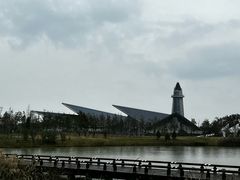 -盐城丹顶鹤湿地生态旅游区