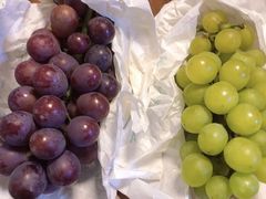 -马陆小张葡萄园农家乐